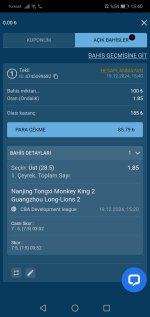 Screenshot_20241219_154057_com.android.chrome.jpg